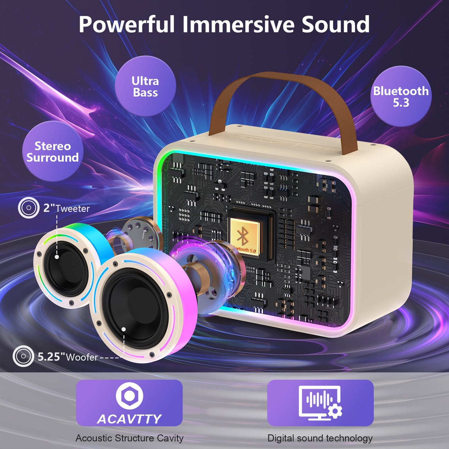 JYX D30 Karaoke With 2 Microphones&Bluetooth Speaker With Wireless